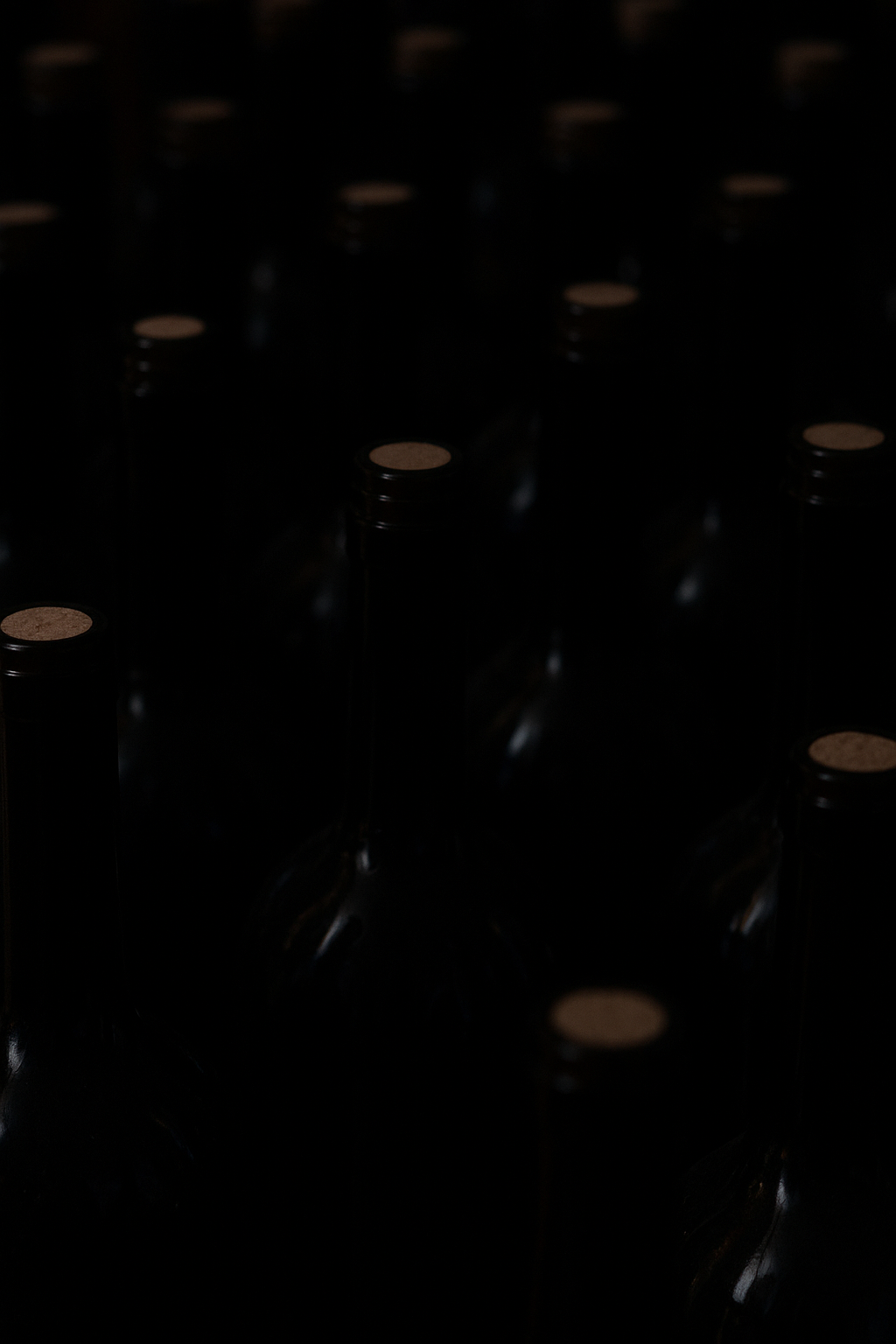 Wine Club